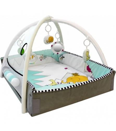 Tryco - 5-in-1 Ball Play Activity Gym - Lovely Park