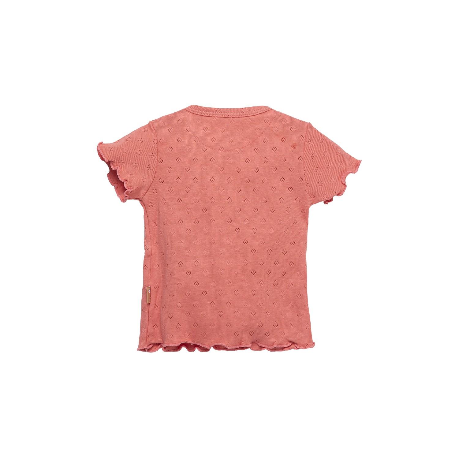 Bess - T-Shirt Korte Mouwen Ajour Coral