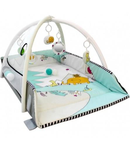 Tryco - 5-in-1 Ball Play Activity Gym - Lovely Park